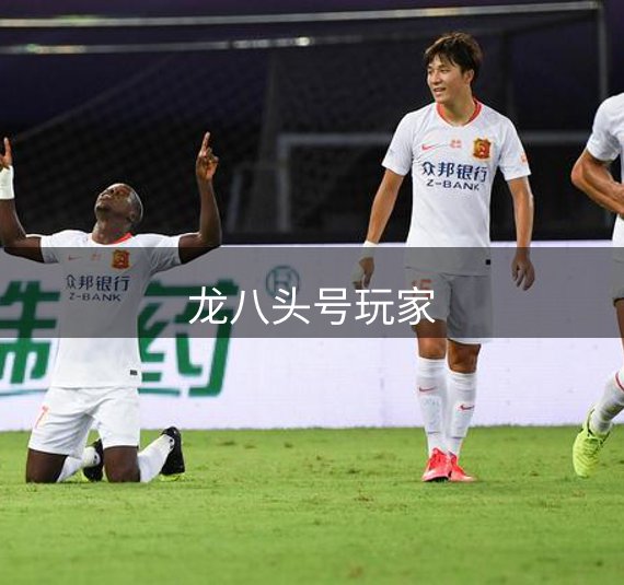 网站介绍